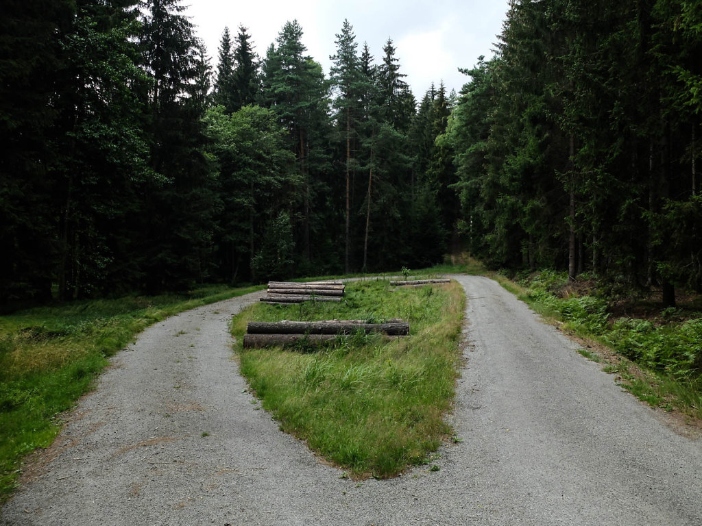 DSCF6125.jpg