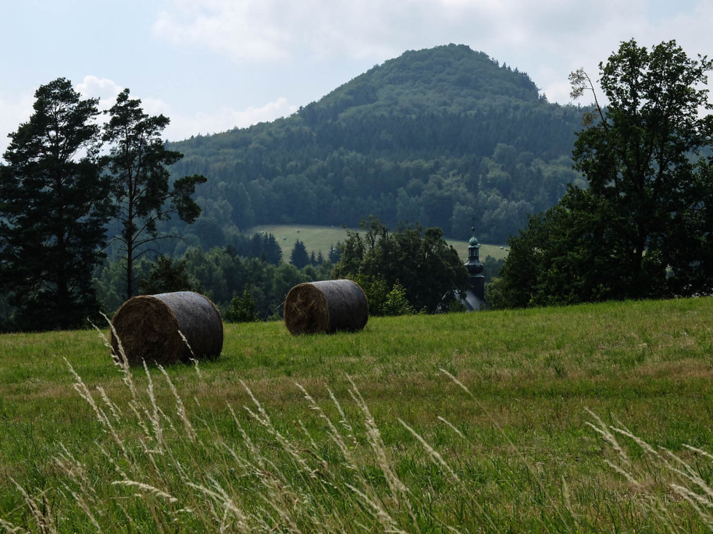 DSCF6132.jpg