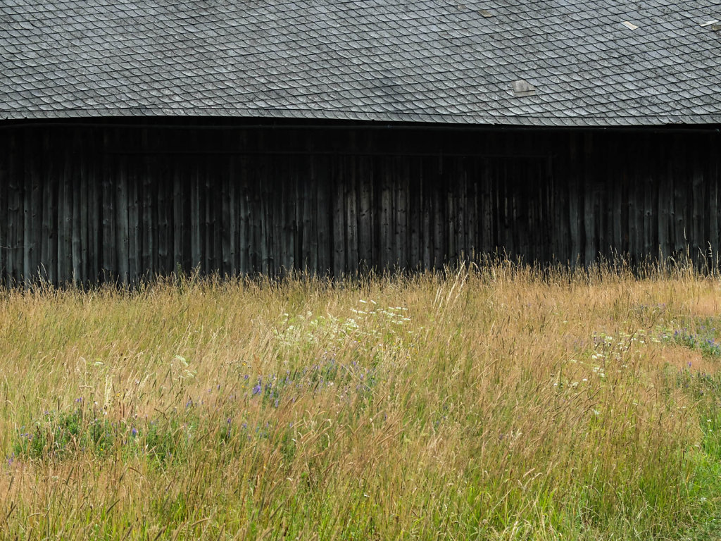 DSCF6136.jpg
