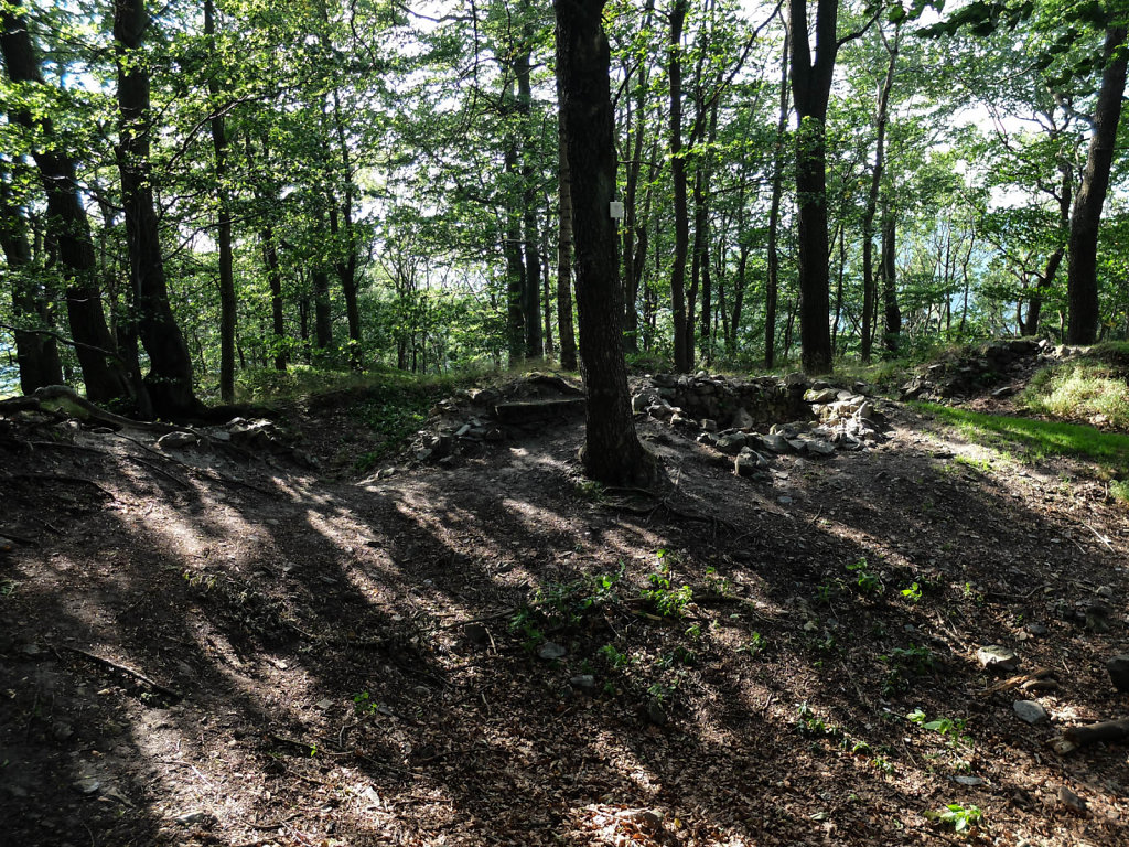 DSCF6146.jpg