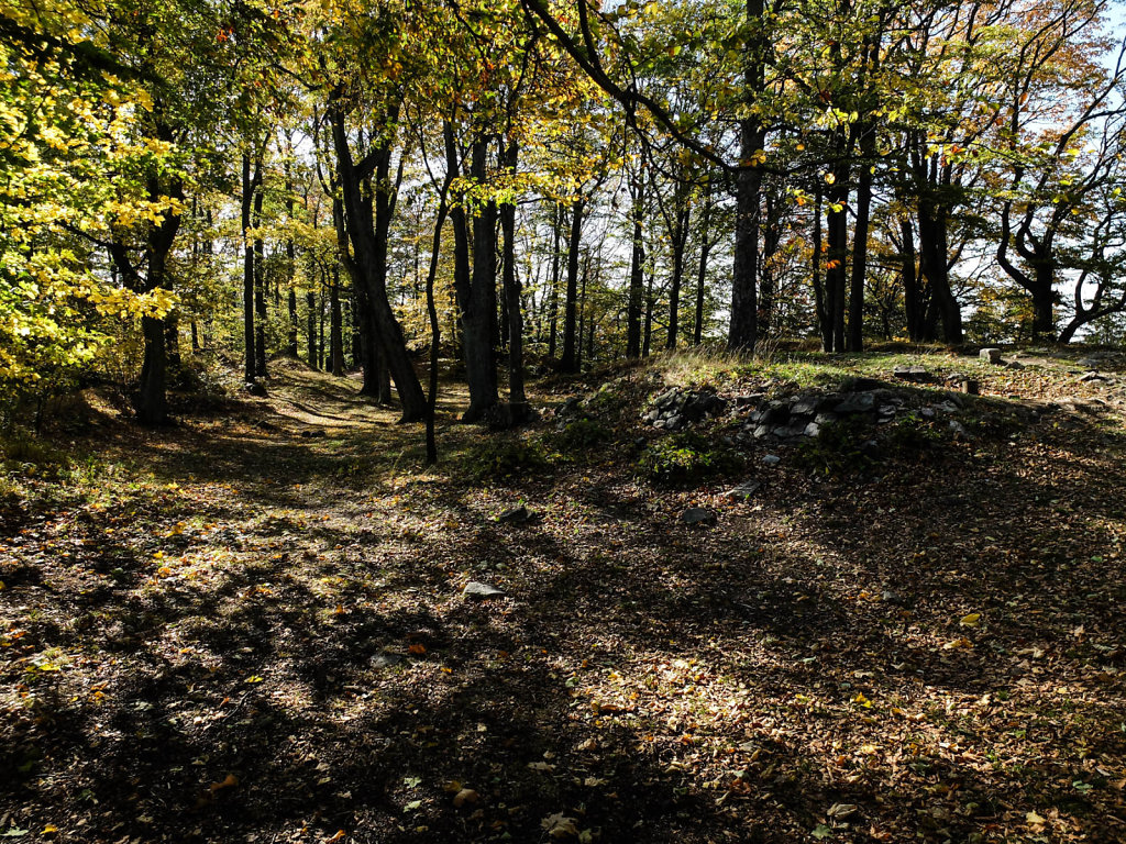 DSCF7278.jpg