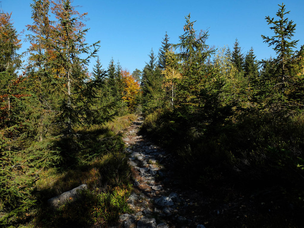 DSCF7280.jpg