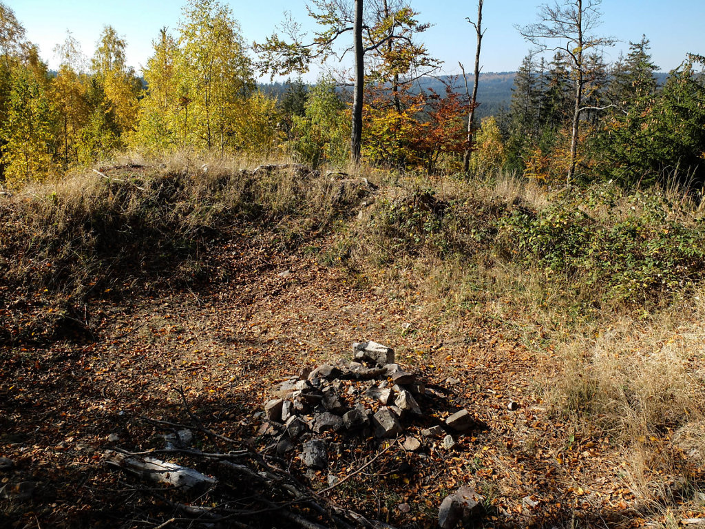 DSCF7290.jpg
