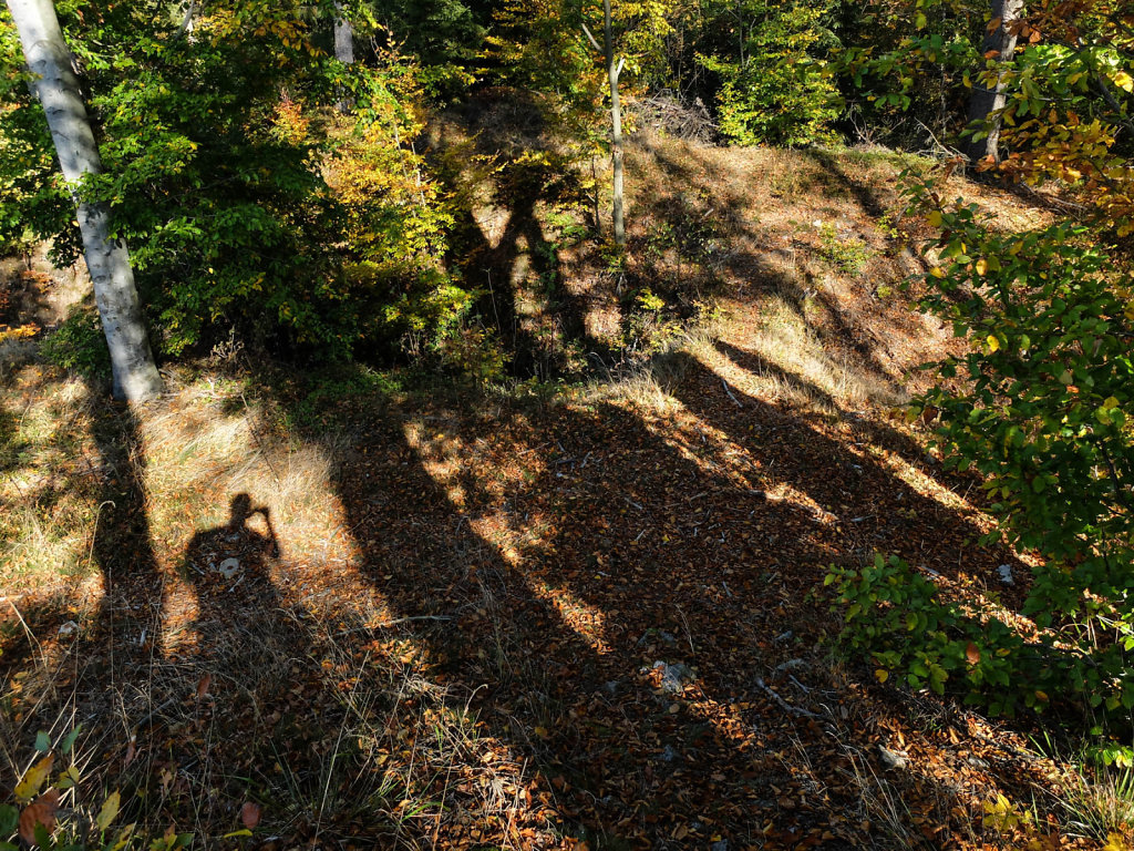 DSCF7291.jpg