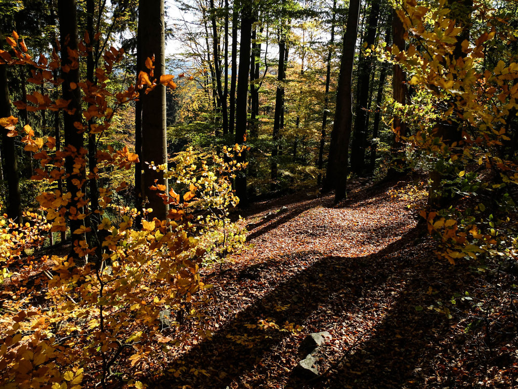 DSCF7294.jpg