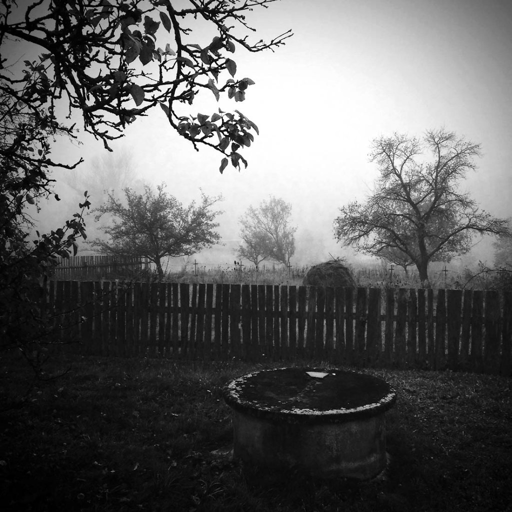 garden.jpg