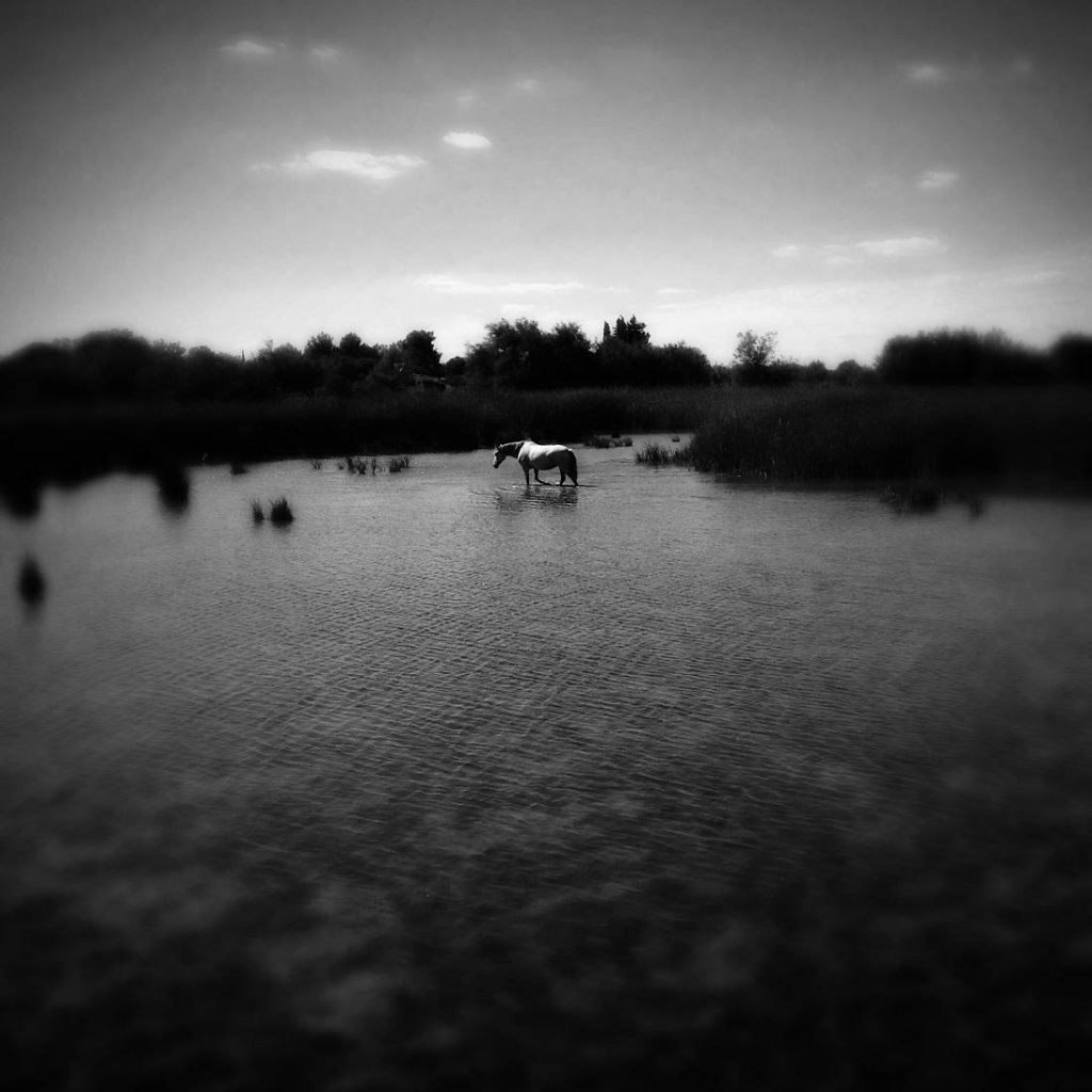 IMG-4082.jpg