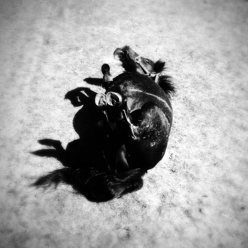 IMG-3710.jpg