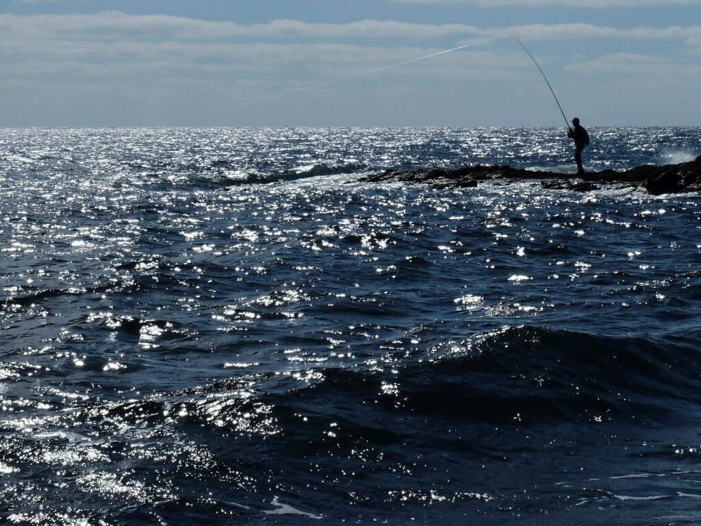DSCF7586.jpg
