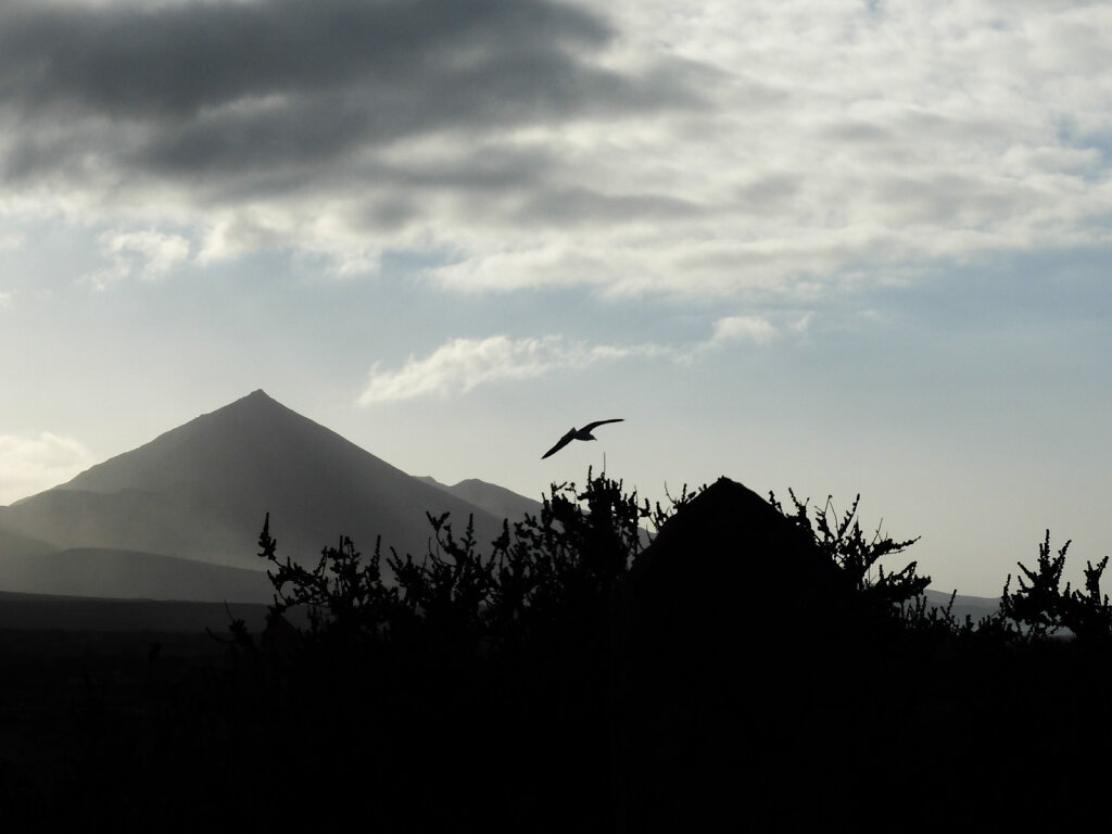 DSCF7648.jpg