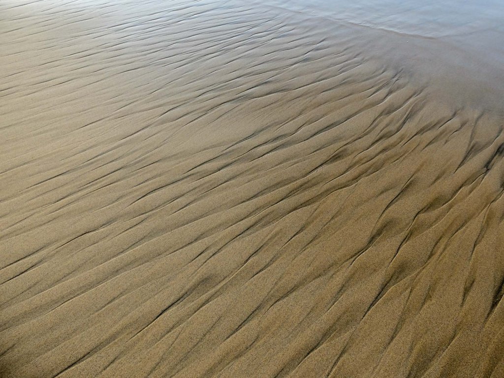 DSCF7665.jpg