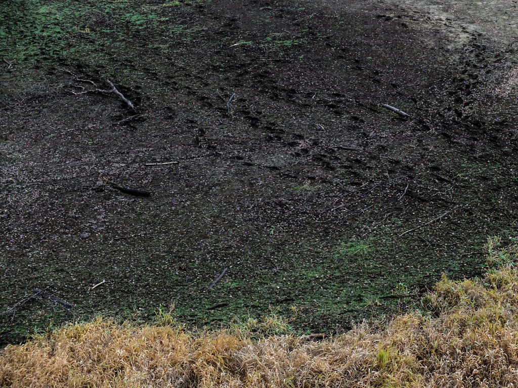 DSCF8940.jpg