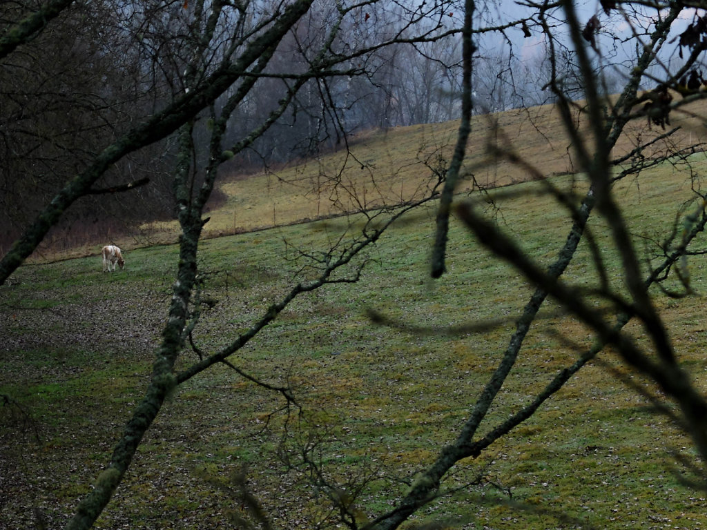 DSCF8942.jpg
