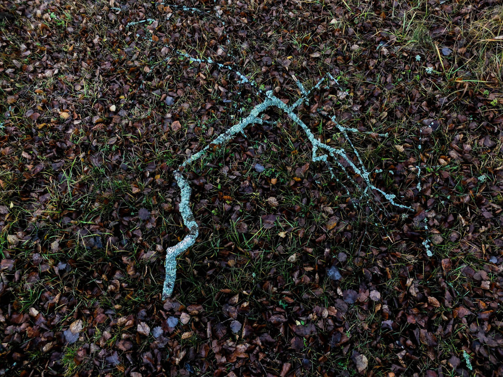 DSCF8947.jpg