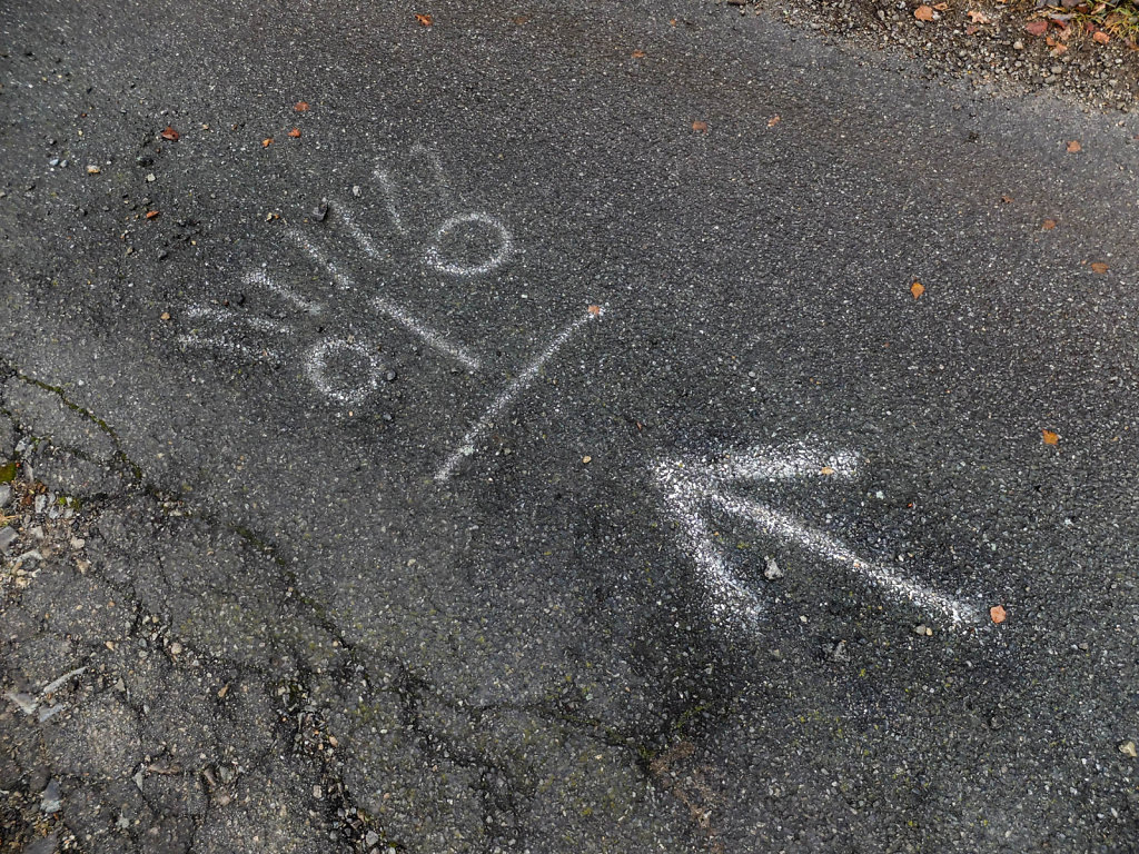 DSCF8950.jpg
