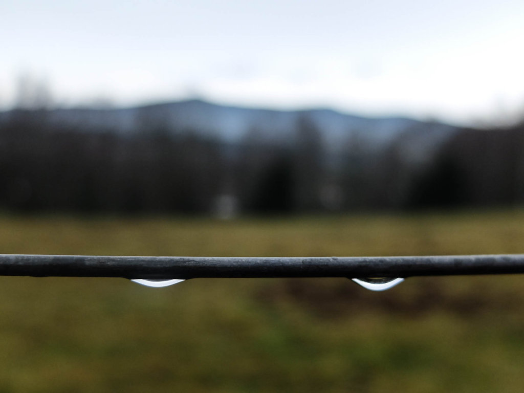 DSCF8951.jpg