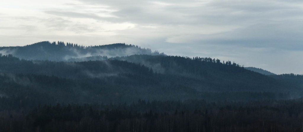 DSCF8956.jpg