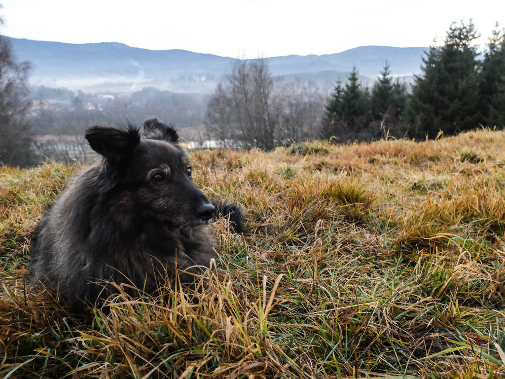 DSCF8968.jpg