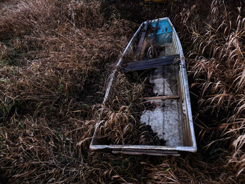 DSCF8980.jpg