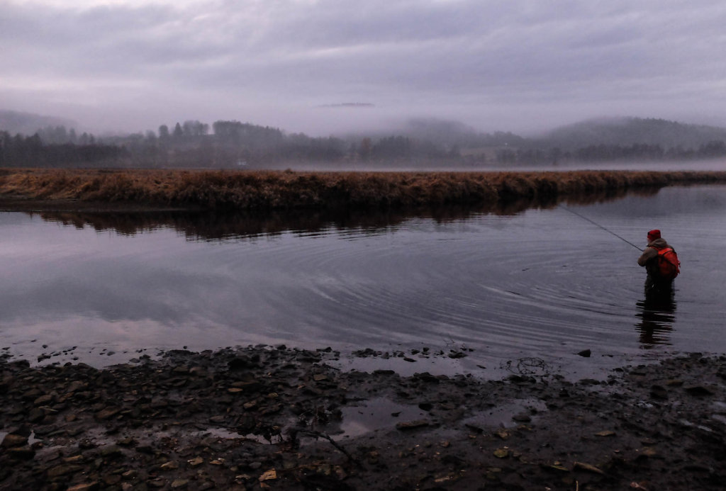 DSCF8996.jpg