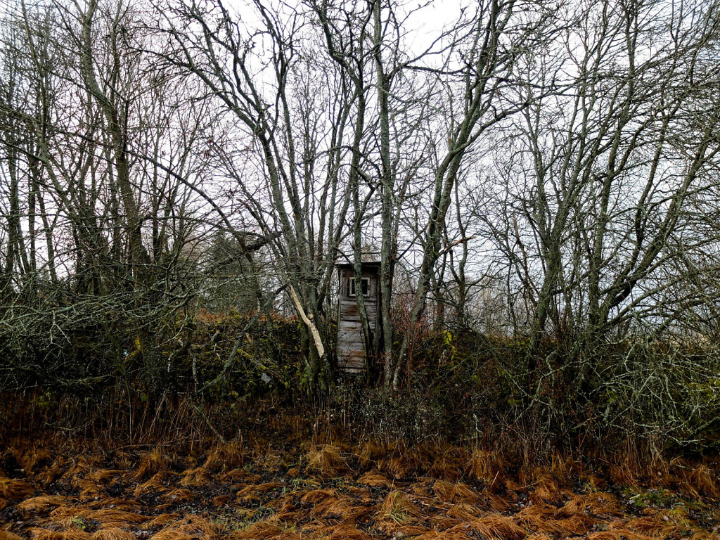 DSCF9027.jpg