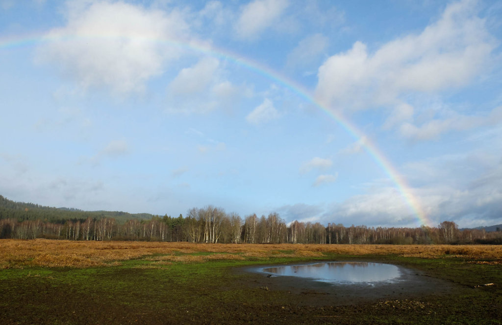 DSCF9044.jpg