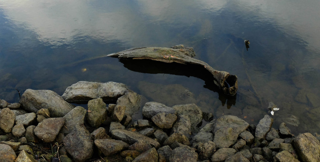 DSCF9052.jpg