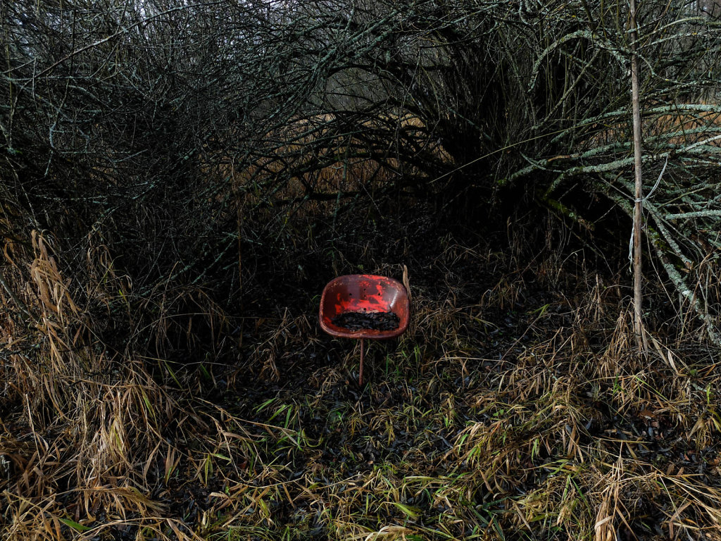 DSCF9064.jpg