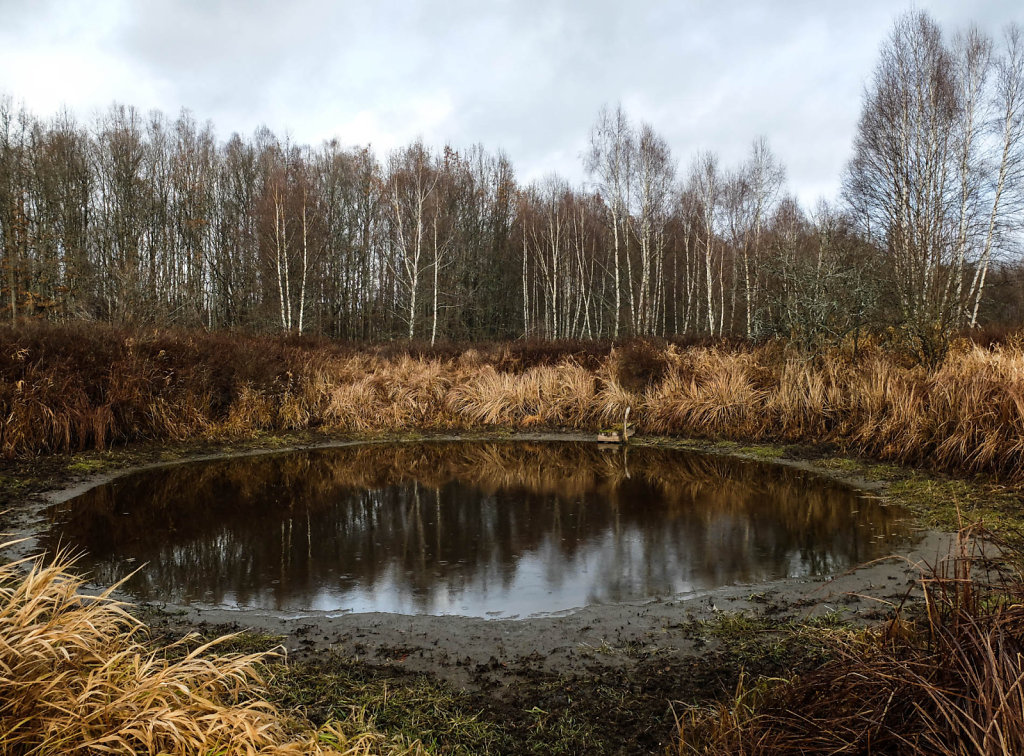DSCF9068.jpg