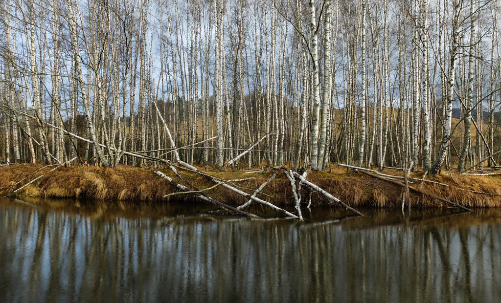 DSCF9087.jpg