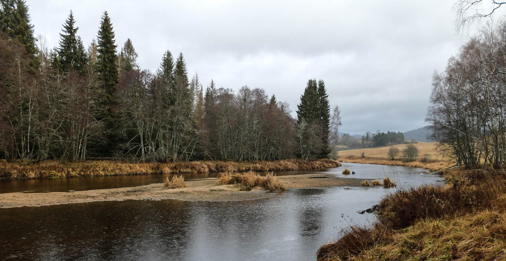DSCF9106.jpg
