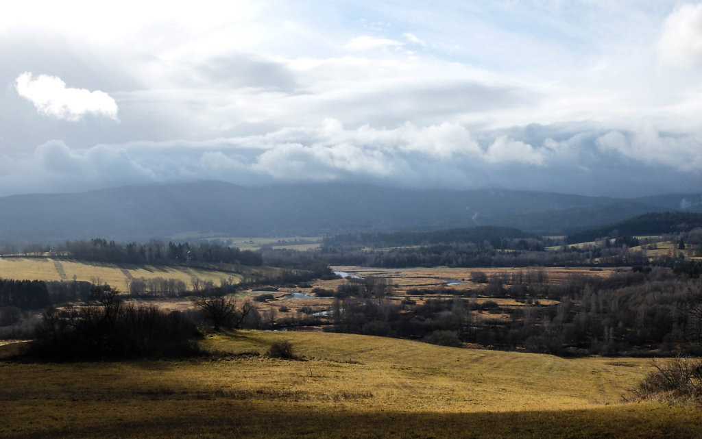 DSCF9123.jpg