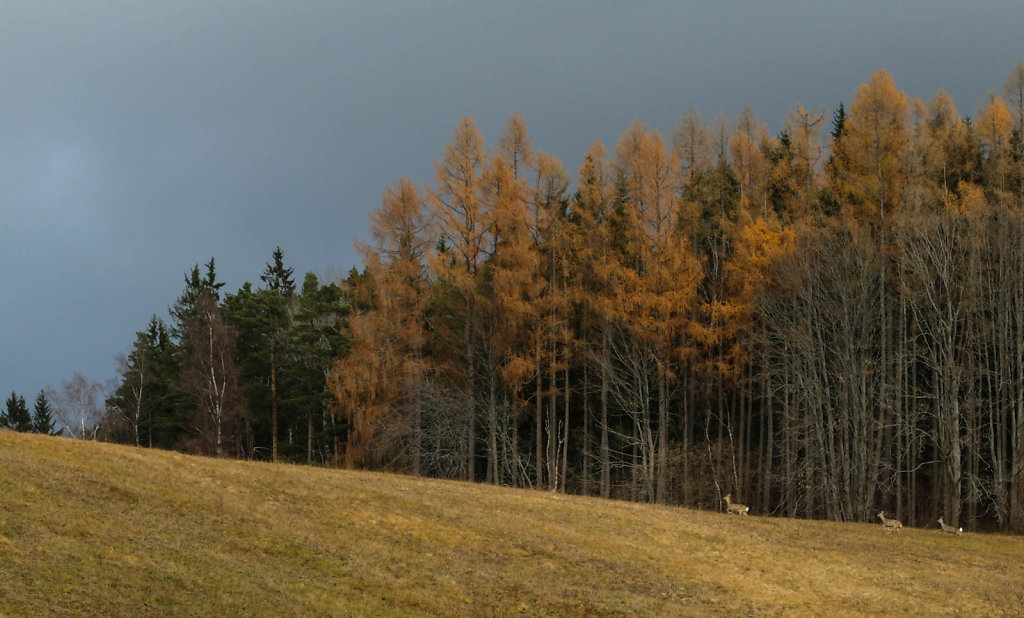 DSCF9165.jpg