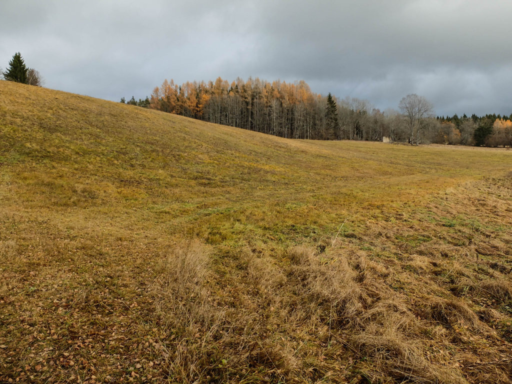 DSCF9167.jpg