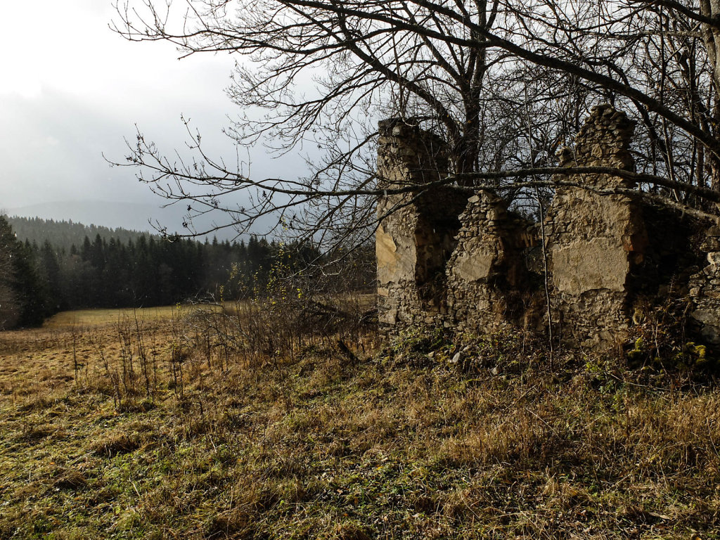 DSCF9175.jpg