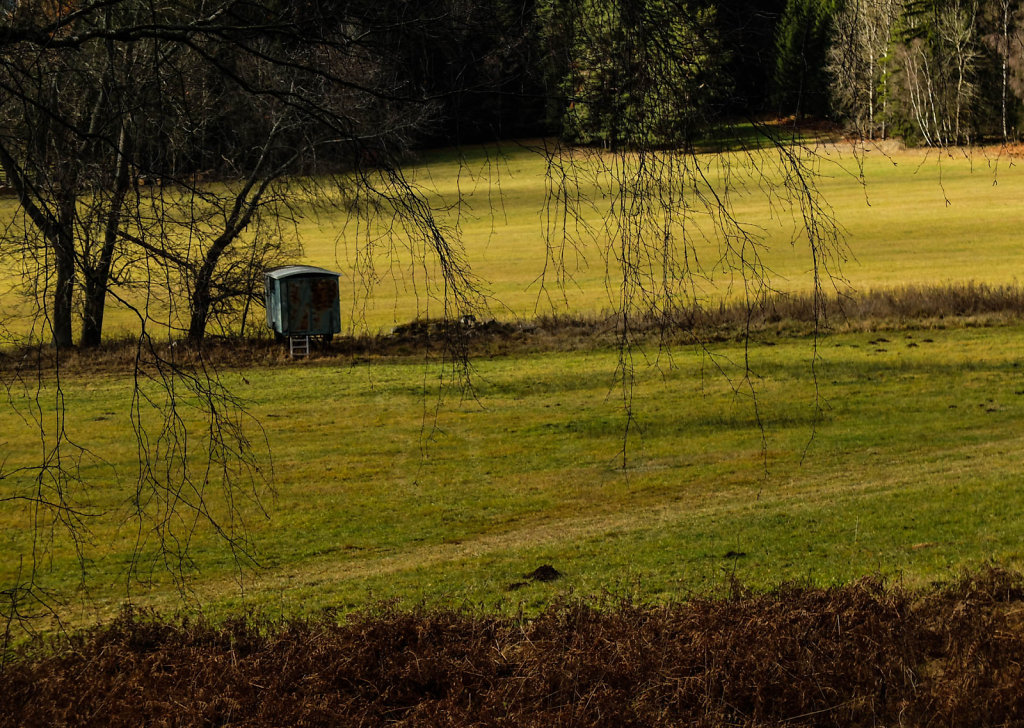 DSCF9188.jpg