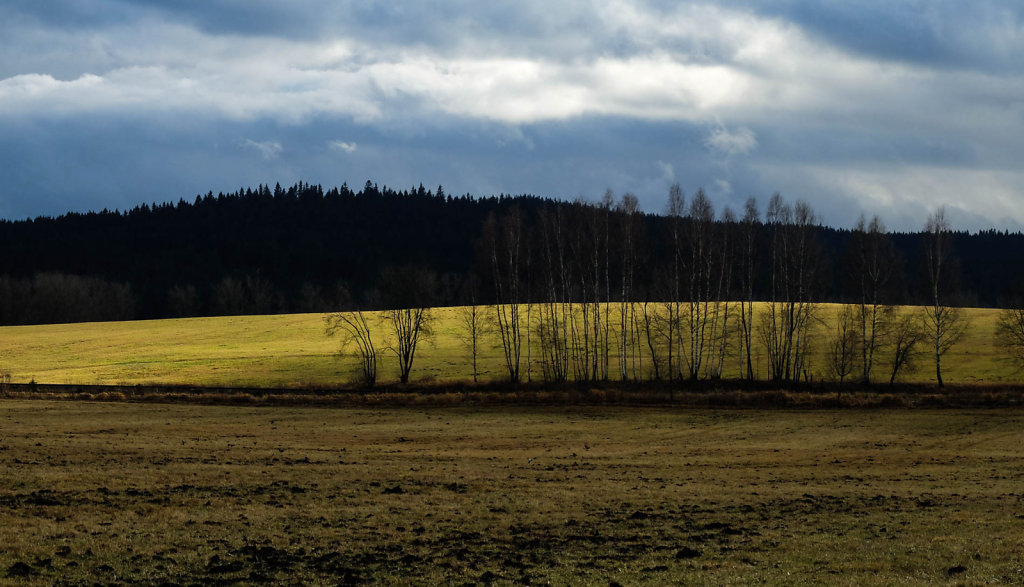 DSCF9202.jpg