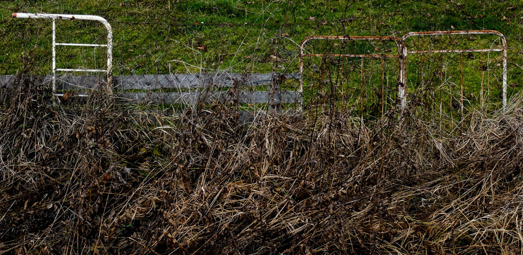 DSCF9205.jpg