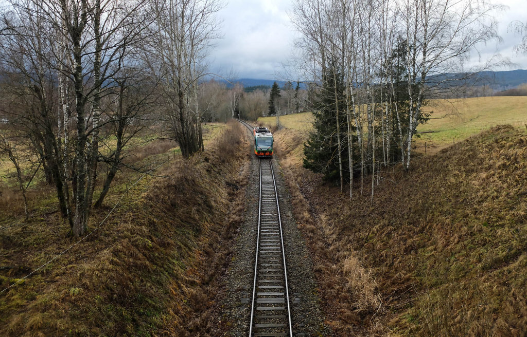 DSCF9207.jpg