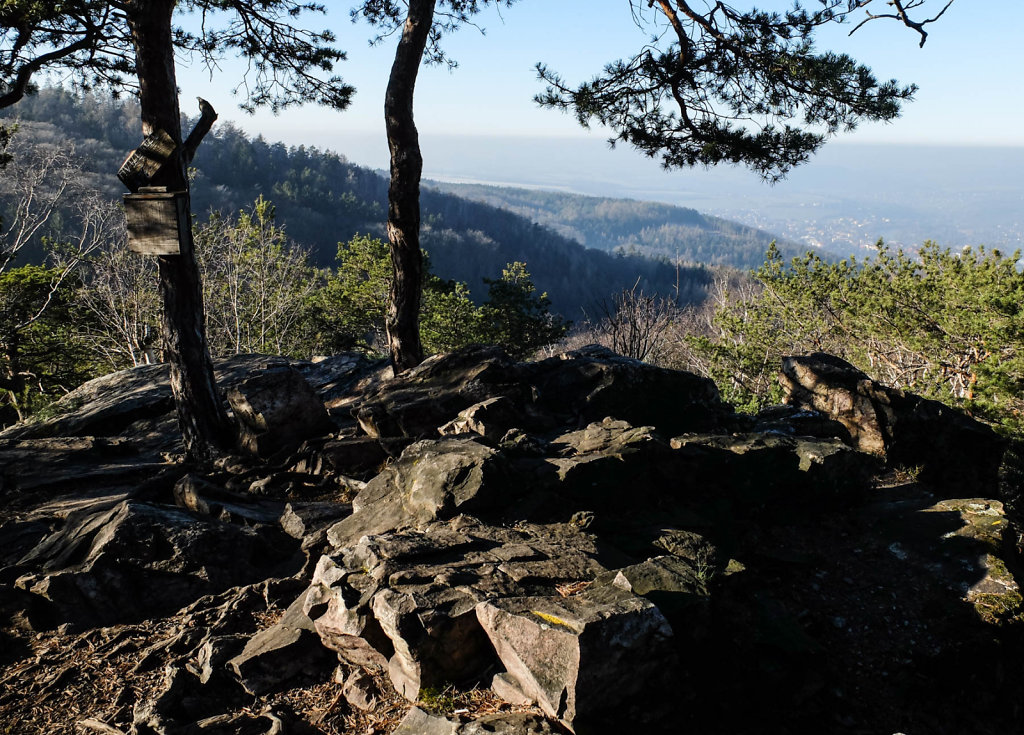 DSCF9298.jpg