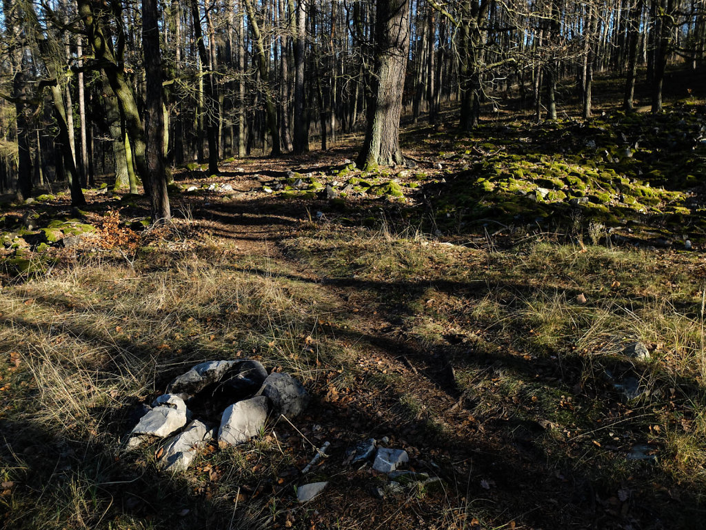 DSCF9341.jpg