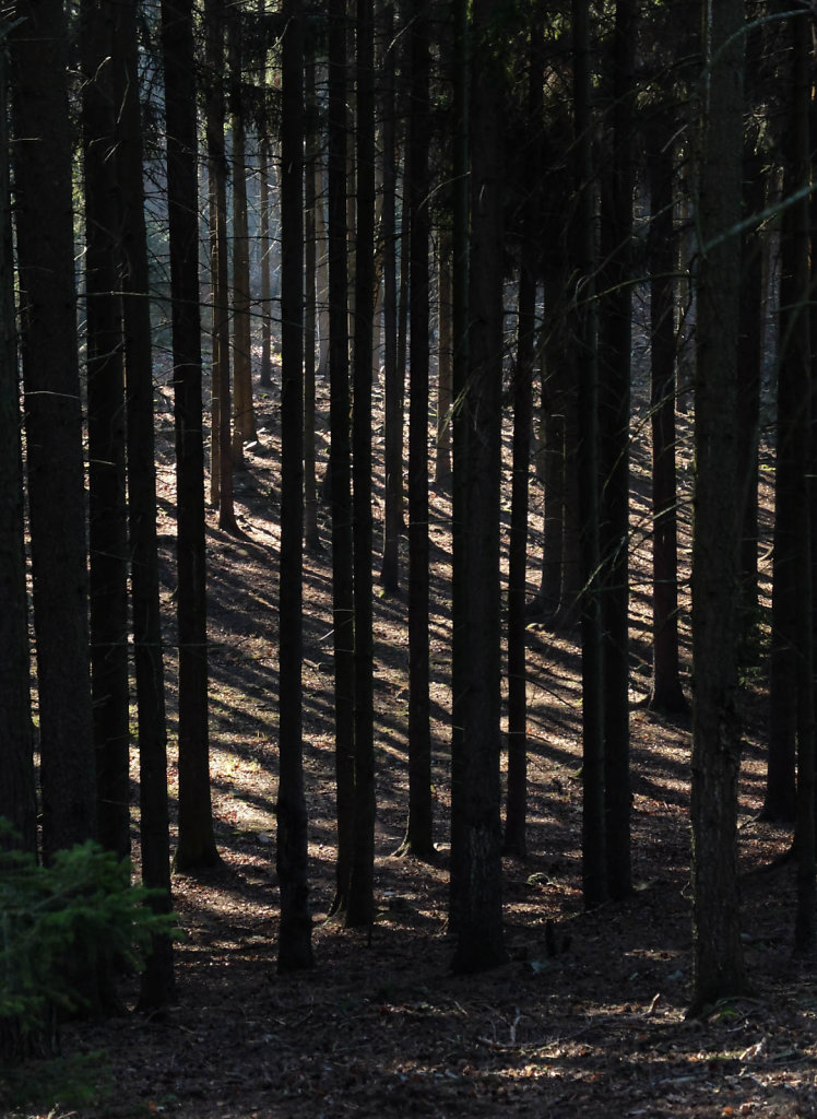 DSCF9344.jpg