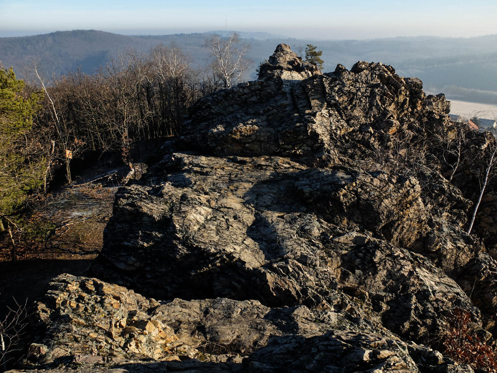 DSCF9275.jpg