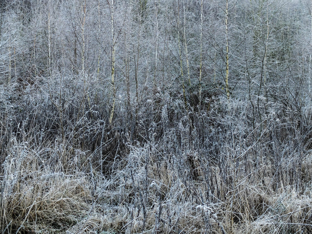 DSCF9370.jpg